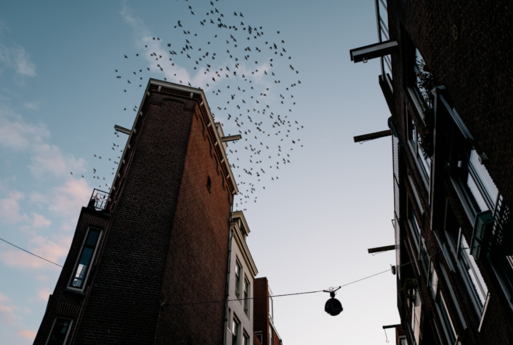 Amsterdam